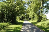 Local photo 2